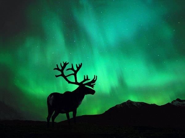 Auroras: Earth’s Natural Light Show and the Science Behind It